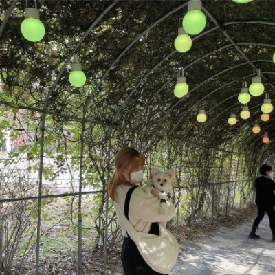 Aakane928345's profile picture. Dカップ/京都のキャンギャル/Sっぽい言われるけど実はM🌻先月、彼と別れて病んでるから誰か遊ぼー😂笑！週末会えるせふ欲しい〜〜LINE待ってるね→https://t.co/pmk6QP72Fg