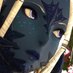 Big Lizzer (@cocoanunh) Twitter profile photo Big Lizzer (@cocoanunh) Twitter profile photo