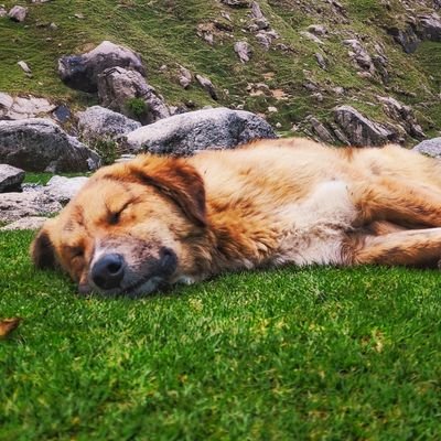 aklant_shri's profile picture. 