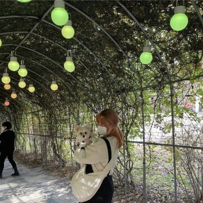 Aoi948534091373's profile picture. Eカップ/奈良のお弁当屋さん/割とM🌼最近、婚約破棄なって寂しいから誰か遊ぼー😂笑！仕事終わりに会えるせふ欲しい〜〜連絡待ってる！→https://t.co/Z4hk1xZLke