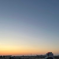 おかゆ (@f5n2scs) 's Twitter Profile