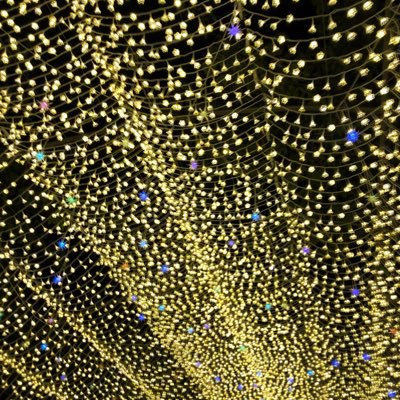 soraso317's profile picture. 中国ドラマ沼にハマっています。歴が浅いので恋愛もの中心に視聴しています。皆さんのＴＬを眺めて幸せな人です