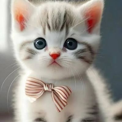 Pratikshya36351's profile picture. 