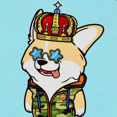 Veve, Funko, Comic, Shoes, & Pokemon Cards Collector