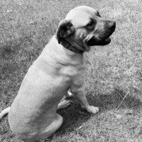 Rose Muturi (@rosemuturi_1) 's Twitter Profile