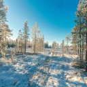 Constance Evans - @ConstanceE91510 - Twitter