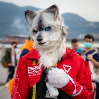 汪小狐(Foxpups)~➡️UTFG (@fox_pups) 's Twitter Profile Photo 汪小狐(Foxpups)~➡️UTFG (@fox_pups) 's Twitter Profile Photo