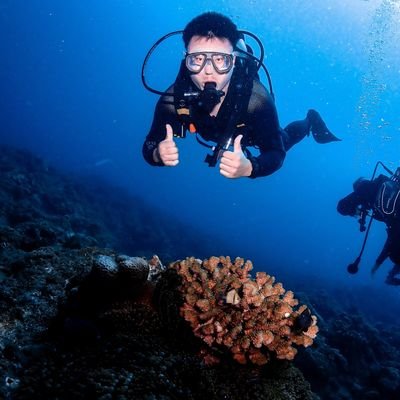 PhD student / 🪸coral-algae symbiosis, photosynthesis, biodiversity🐚 / OUC🇨🇳⏩Tohoku🇯🇵⏩UTokyo🇯🇵 / diver, traveler, photographer