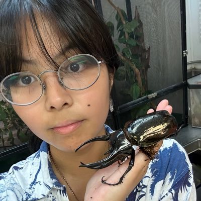 ut austin '24 EEB undergrad! bug buddy and frog friend