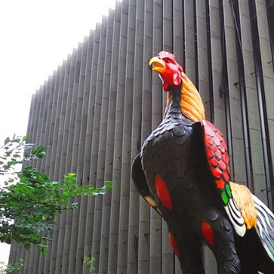 東京農業大学「食と農」の博物館の公式アカウントです。イベントや展示の情報、館内の様子などを発信します♪
企画展「美しき土壌の世界」開催中🌱
会期：2024年4月18日(木)～8月31日(土)　　　　　　　　　　
【GW期間の休館のお知らせ】５月２日(木)～5月６日(月)まで休館いたします🐔