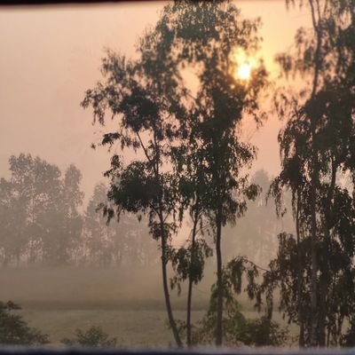 thersundaram's profile picture. Egalitarian,Reader, budding writer