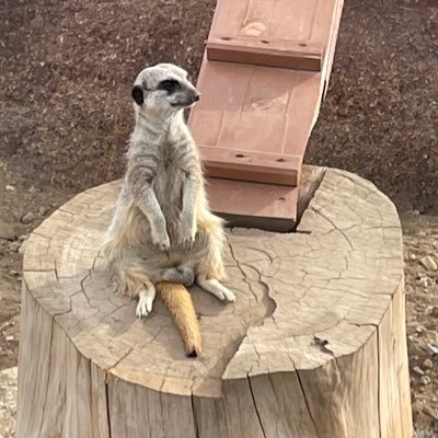 p569QlxVaxOCFXG's profile picture. 