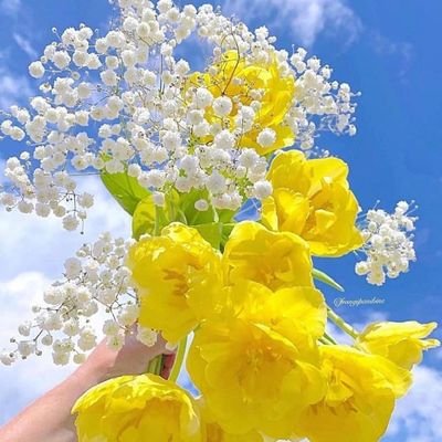 Mohamma32704314's profile picture. آرامش