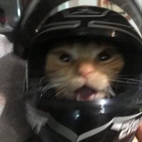 samu π (@samueelgb) 's Twitter Profile