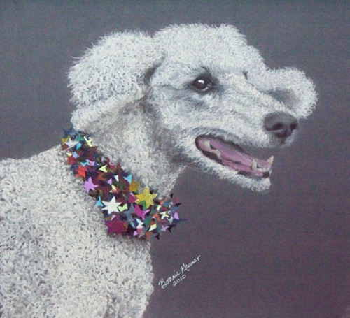 PoweredbyPoodle Profile Picture