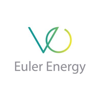 Euler Energy Profile