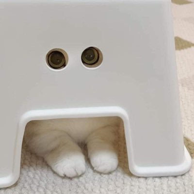 Spacexxlxl's profile picture. ไม่สะดวกส่งหน้า เป็นแฟนละค่อยดูนะงับ ดูควยไปก่อน ชอบเลียหี