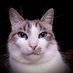 louisa archer (@hedgeweft) Twitter profile photo