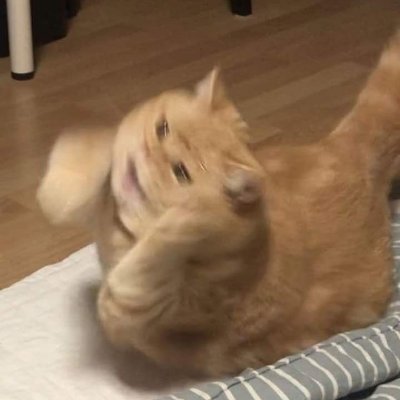 Gojosaki1's profile picture. 