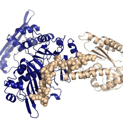 LU-Fold facility for structural bioinformatics at Lund University, focussing on high-throughput AlphaFold predictions of protein-protein interactions.