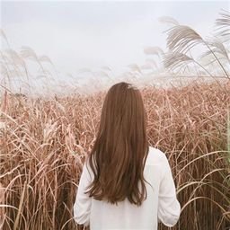 thephout19839's profile picture. プラットフォームに送金する必要はありません。 財布に入れて登録するだけで収入の計算が始まります！    https://t.co/kc9FtFqbD4