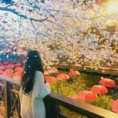 私は毎日1万円を稼ぐことができる。 あなたの収入が減ることを心配しているなら、答えをあげます。 私たちは友達になれる。 誰でも私たちに参加して、あなたの副業を良い生活の基礎にすることができます。 https://t.co/7UKr91CYVr