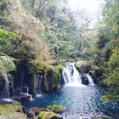 kyoko_tanoshimu's profile picture. 読書、映画、TVドラマ、音楽など娯楽や芸術を楽しむアカウントです。映画やドラマは洋画が多いです。音楽は浅く広くですが海外ミュージシャンが多いです。読書は電子書籍やオーディオブックが多いです。
スピリチュアルなお仕事と音声配信しています。