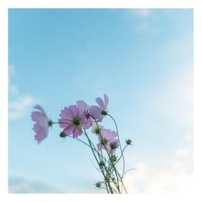 gentlemanjohann's profile picture. la