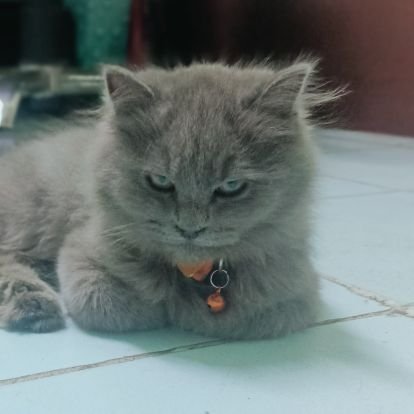 theherbalstore's profile picture. https://t.co/odj13rkMXK