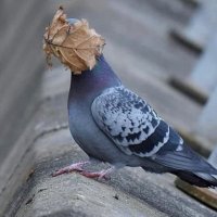 Gemma Hampson (@gemolo_gemma) 's Twitter Profile Photo