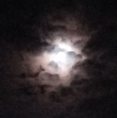 nyaa4253's profile picture. 