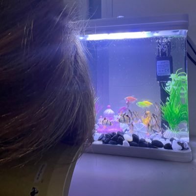 rock9ed's profile picture. 