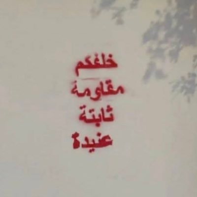 sabamohmoh's profile picture. 