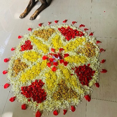 radhagal's profile picture. 