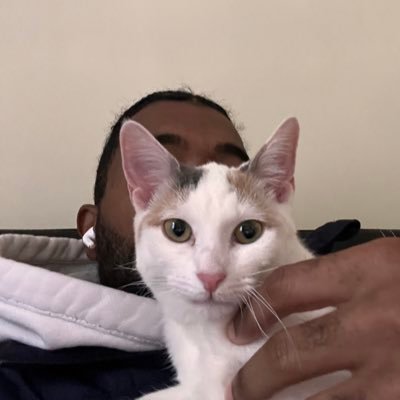 Popow_971's profile picture. 