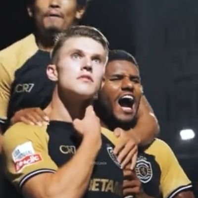 SergioBaceira's profile picture. Um dia Sporting, Sporting até morrer