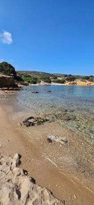 QuentinGer28694's profile picture. 