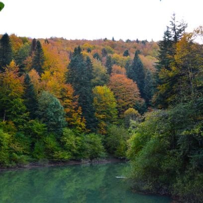 Canal Meteo Navarra