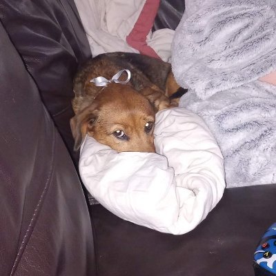 rogersharon36's profile picture. 