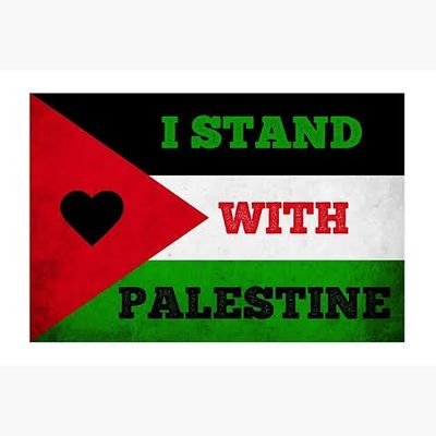 ZunairAkbar11's profile picture. PMLN Lover