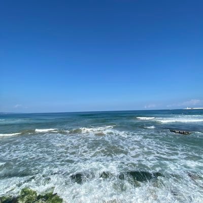 ACACIAIRR's profile picture. 너에게 닿기를.