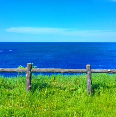 空に浮かぶものなんでも好きです。
飛行機🛩もヘリ🚁も雲も⛅(UFOも🛸)航空の中の人ですがイラストレーターもしてます(イラスト垢→@illust_hikouki)ご連絡は→illust.hikouki.car@gmail.com 安玉LOVE