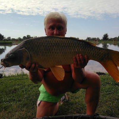 dudas1954's profile picture. 