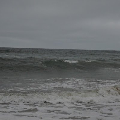 KundraPuneet's profile picture. 