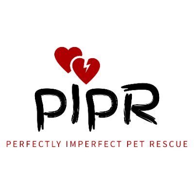 PIPetRescue Profile Picture