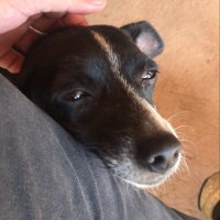 Juan (@juanbluepumpkin) Twitter profile photo