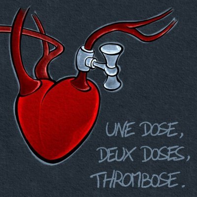 Scubrina_2019_V's profile picture. Compte de secours de @_2019_nCoV