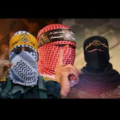 hilmaamir's profile picture. 