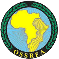 OSSREA OSSREA(@OOssrea93633) 's Twitter Profile Photo