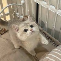 ＾＾ (@eee_lc) Twitter profile photo